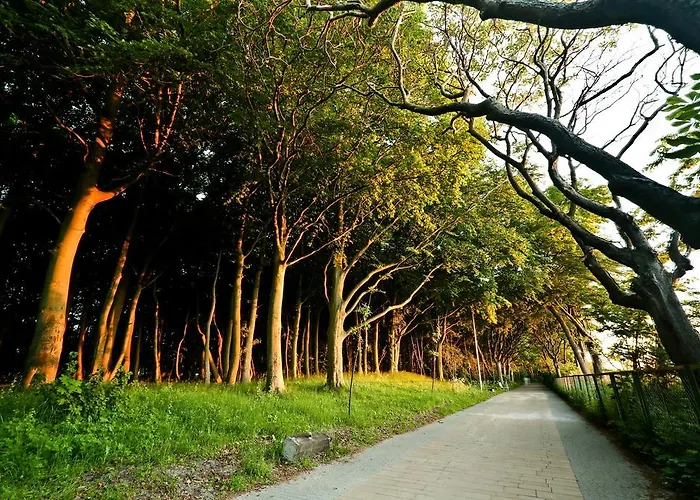 Diune & アパート コウォブジェク