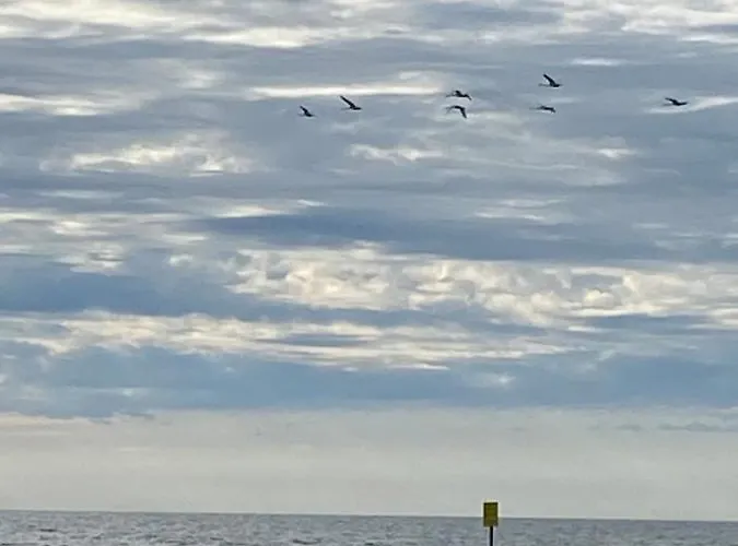 アパート Diune &